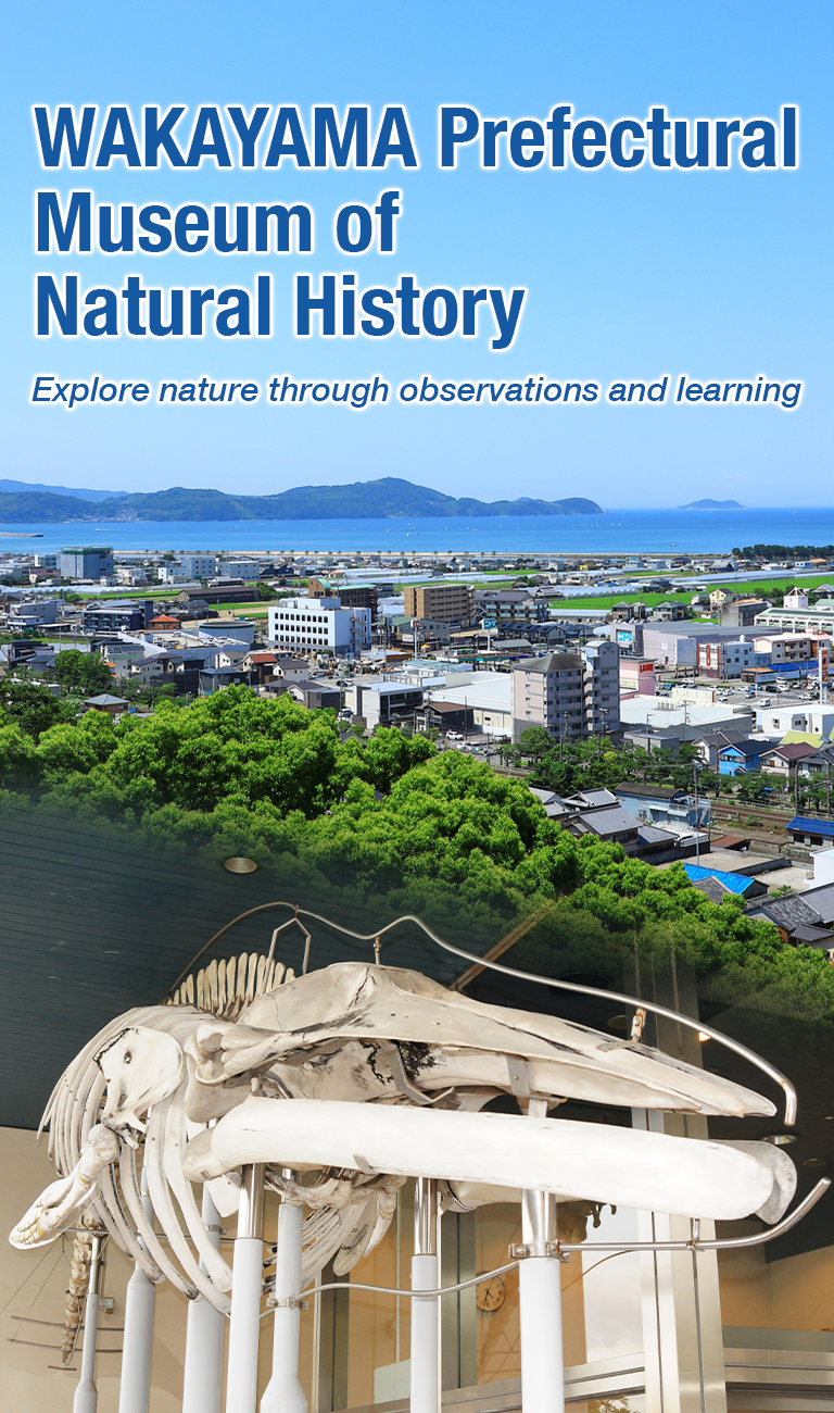 Wakayama Prefectural Museum of Natural History