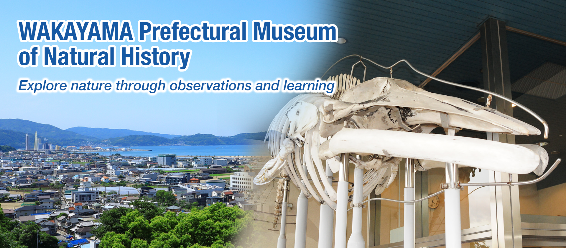 Wakayama Prefectural Museum of Natural History