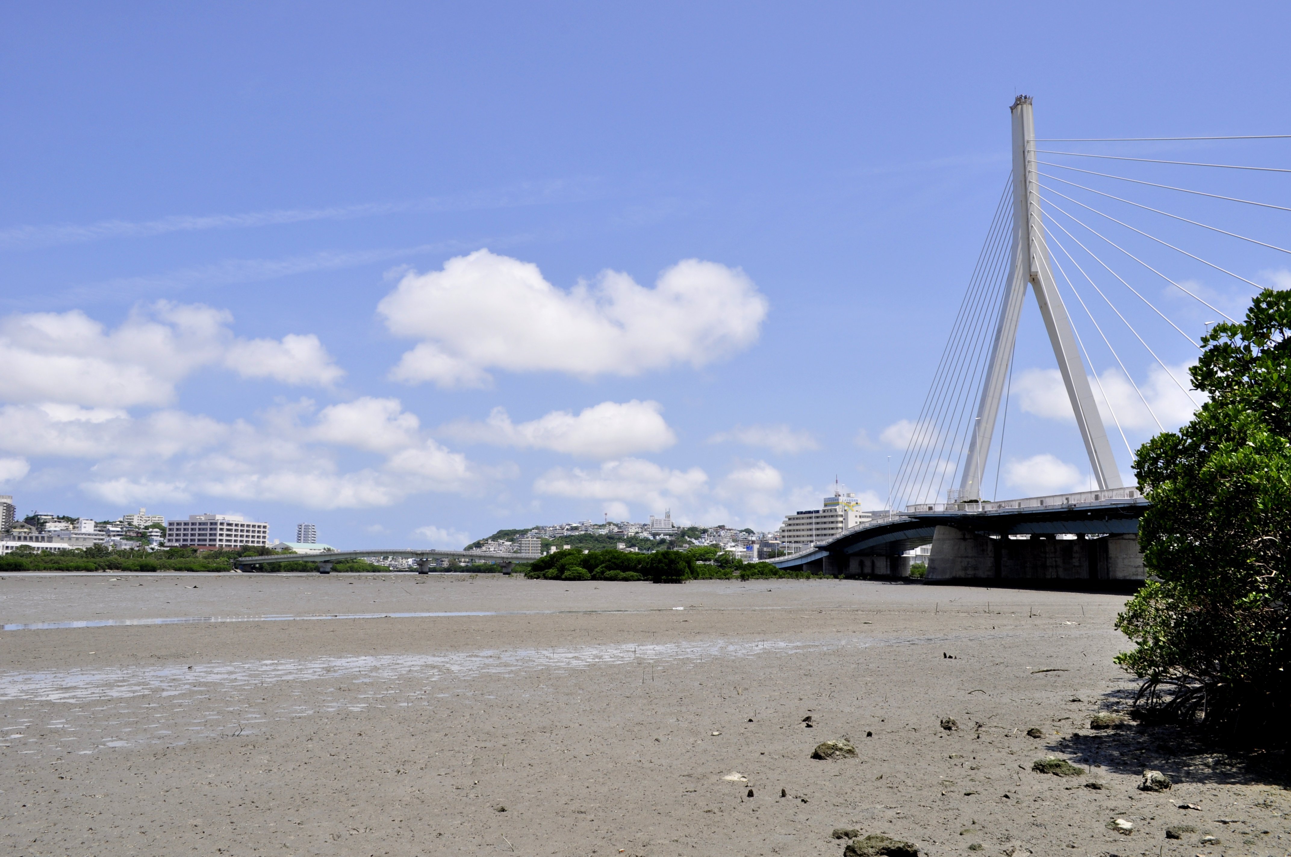 写真：漫湖　沖縄県