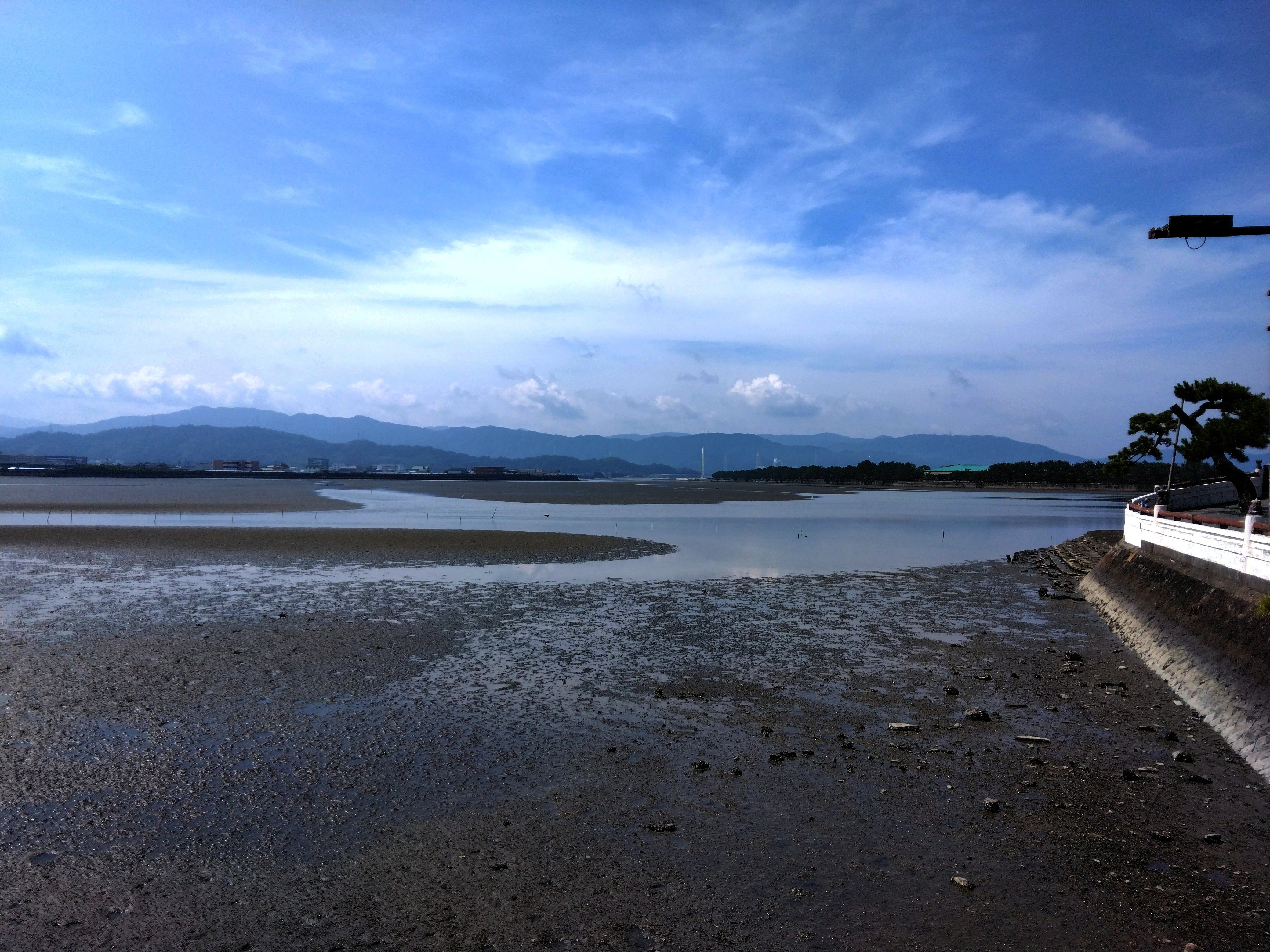 写真：和歌浦干潟　和歌山市