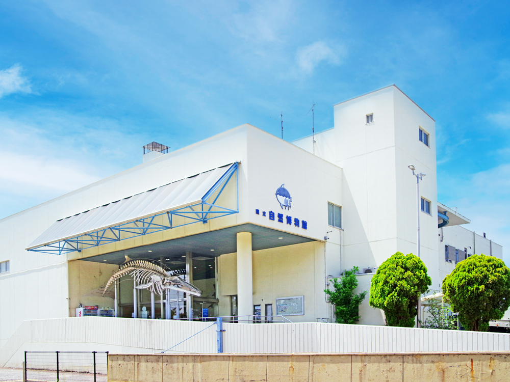 和歌山県立自然博物館